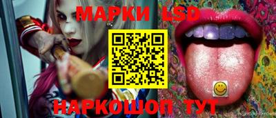 сатива Новозыбков