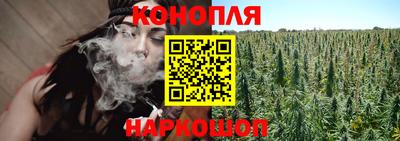 сатива Новозыбков