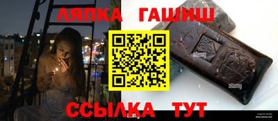 сатива Новозыбков