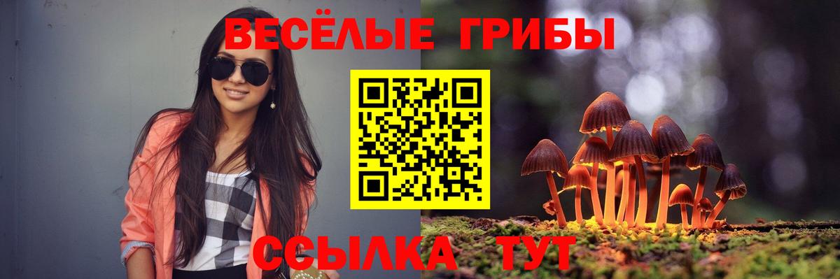 Торжок  Галлюциногенные грибы Psilocybe  Вход с VPN  Псилоцибиновые грибы GOLDEN TEACHER 